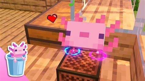 ♪cute Baby Axolotl Minecraft Animation Youtube
