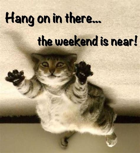 111 Best Images About Days Fridays On Pinterest Funny Friday Happyfriday And Funny Weekend