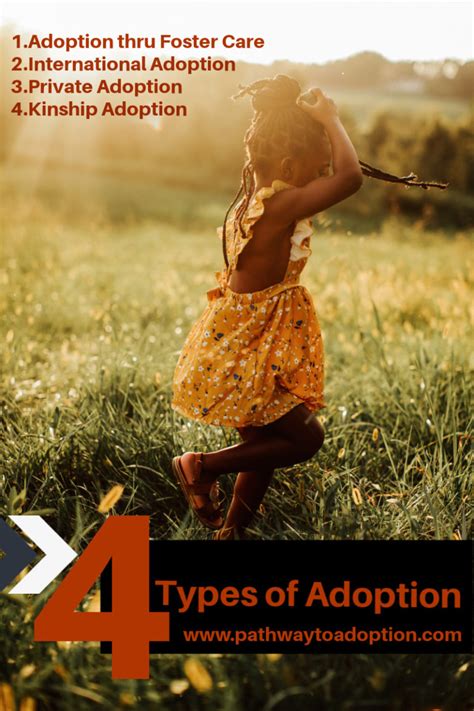The 4 Types Of Adoption Pathway To Adoption