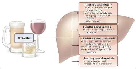 Alcohol Use In Patients With Chronic Liver Disease Nejm