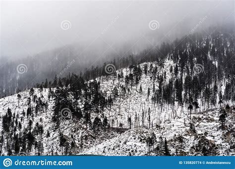 Fog And Clouds Covering The Slopes Of The Sierra Mountains California