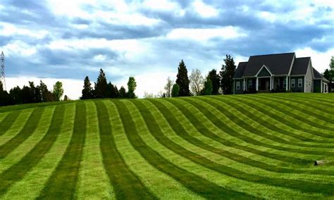 I'll discuss how striping kits work, and what you should expect to pay here. Big League Lawns, LLC | Lawn Striper | Lawn Striping Kit | Yard Roller
