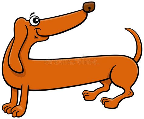 Cartoon Purebred Dachshund Dog Comic Animal Character Stock Vector