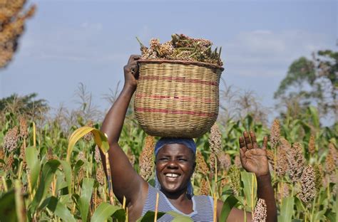 African Farmers Will Help Feed The Billions Global Farmer Network
