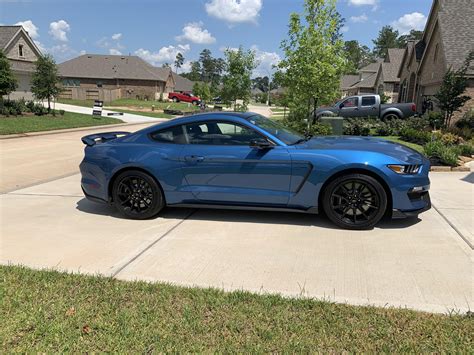 2019 Gt350 In Ford Performance Blue 🐍 Rmustang