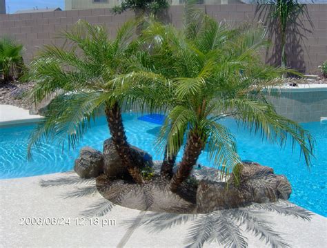 Small Palm Trees For The Pool Backyard Trees Palm Trees Landscaping