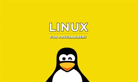 Top 5 Best Linux Distros Programmers And Developers