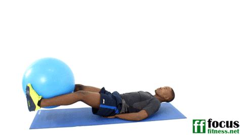 How To Do Swiss Ball Leg Raise Exercise Properly Focus Fitness