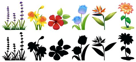 Teens can become artists by learning these. Different types of flowers and silhouette - Download Free ...