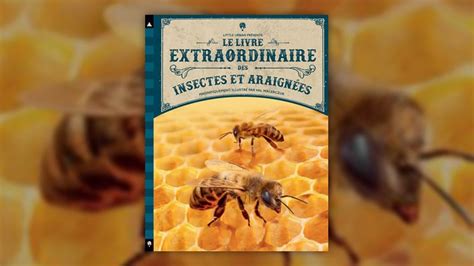 Livres Pour Enfants Livres Le Livre Extraordinaire Des Insectes Et