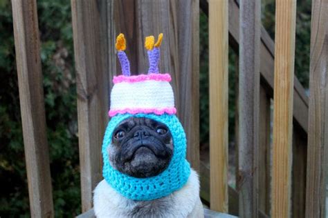 Happy Happy Birthday Cake Dog Hat Made To Order Etsy Happy