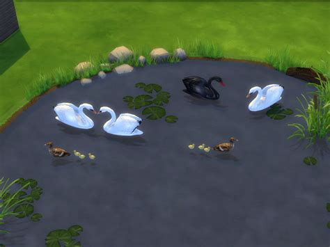 Animals Converted To Ts4 Deco Sims 4 Studio
