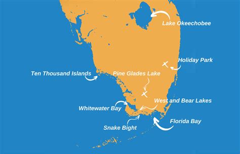 Everglades Fishing The Complete Guide