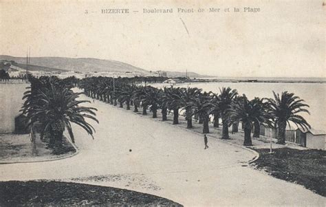 Carte Postale Ancienne Tunisie Tunisia Bizerte Boul Front De Mer écrite