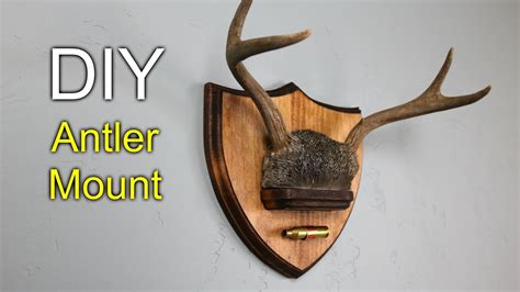 Cable mounts | sign mounts | 100 pack | 1″ | natural | diy wreath | supplies $ 11.00 add to cart; DIY Antler Mount - How to make - YouTube