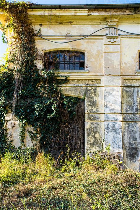 Abandoned Building With Ivy 2553415 Stock Photo At Vecteezy