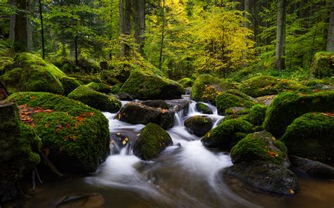 Download Germany Forest Stone Moss Nature Stream Hd Wallpaper