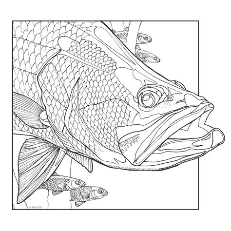 Select from 35919 printable coloring pages of cartoons, animals, nature, bible and many more. COMPLEXIONS OF THE AQUATIC - ADULT COLOURING BOOK 2 ...