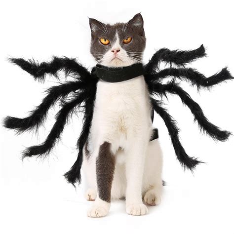 Halloween Pet Dog Cat Spider Costume Decoration Simulation Plush