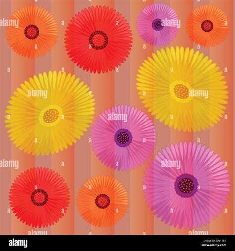 Colorful Daisy Flower Vector Stock Vector Image And Art Alamy