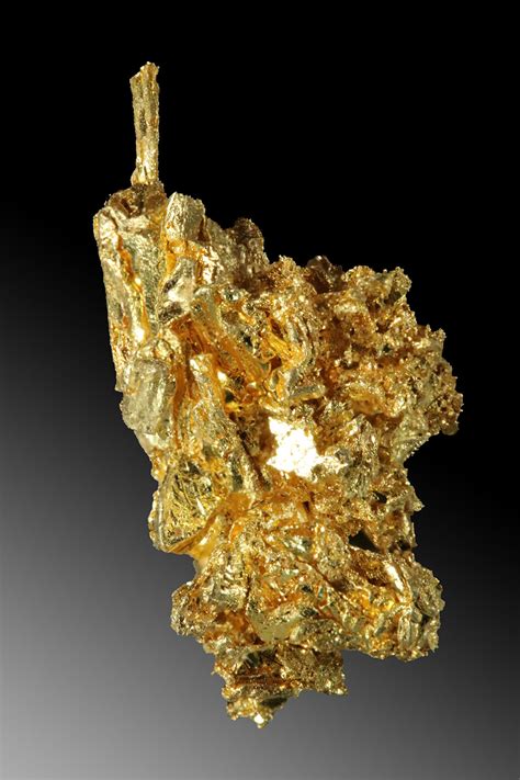 Natural Long And Curved Gold Specimen From Round Mountain 16900