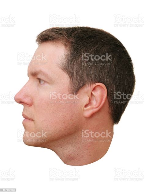 Closeup Of A Mans Head Profile Stock Photo Download