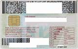 Pictures of Truck Driver License Florida