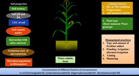 Factors Affecting Micronutrients Availability In Soil Download