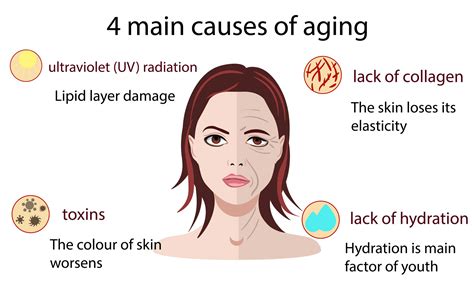 Slm How To Keep Your Skin Healthy As You Age