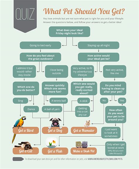 What Pet Should You Get Quiz American Lifestyle Magazine