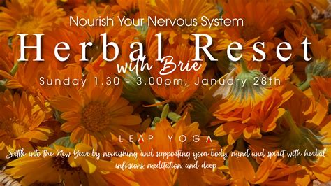 Nourish Your Nervous System Herbal Reset With Brie Leap Yoga