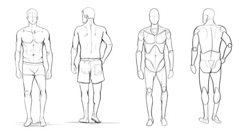 Drawing The Human Figure Using Basic Shapes Lesson By Wingfoxworkshop