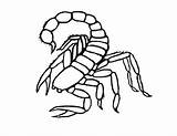 Scorpion Coloring Scorpio Printable Animals Sheets Animal Getcolorings Template Bestcoloringpagesforkids Lovely sketch template