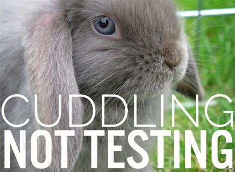 China's Demand for Animal Testing in Cosmetics and the ...
