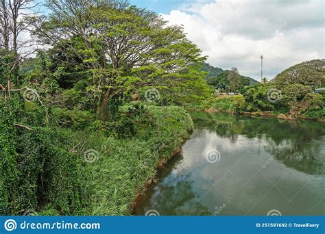 Natural River Landscape Sri Lanka Kandy Stock Photo Image Of Kandy