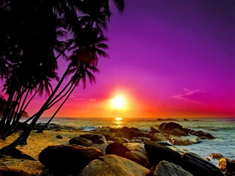 Tropical Sunset Colorful Shore Sundowsn Dazzling Bonito Sunset
