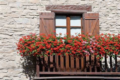 A balcony garden can arouse admiration if you decorate it the right way. 10 Tips to Start a Balcony Flower Garden | Balcony Garden ...