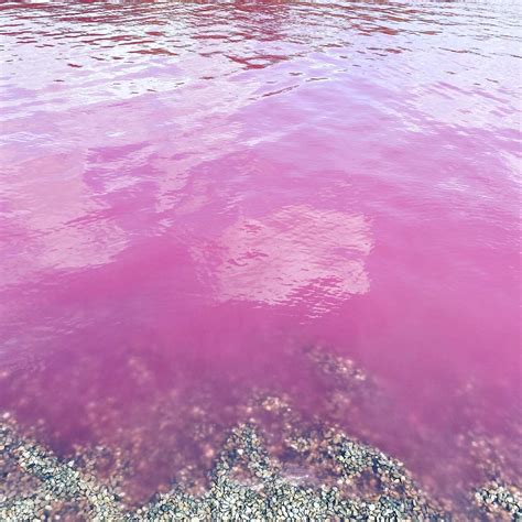 Roze jezero u Srbiji