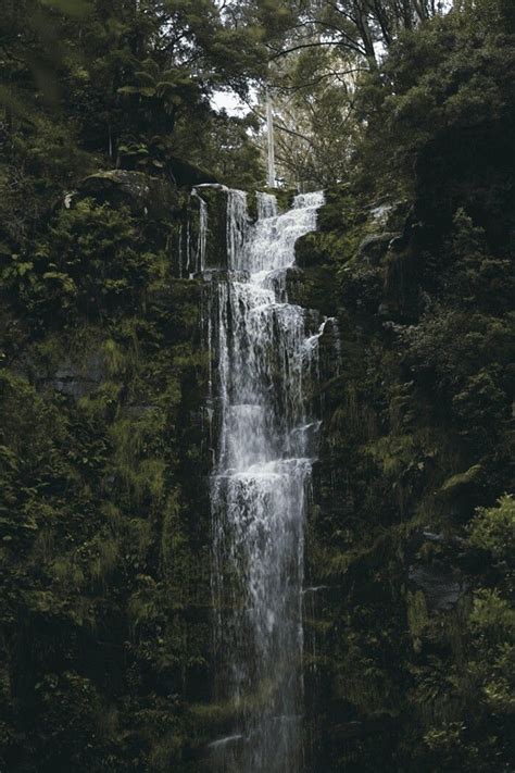 Pin By Alisha Merchant On Beautiful Shots Waterfall Forest Waterfall