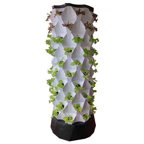 Skyplant Hydroponics Aeroponic Pineapple Growing Tower Vertical System