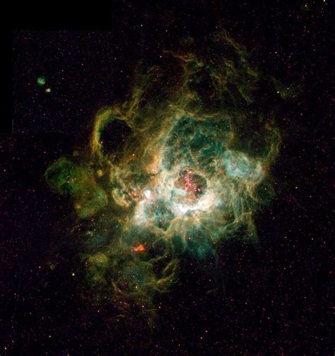 Ngc 604 In Galaxy M33 Triangulum Galaxy Hubble Space