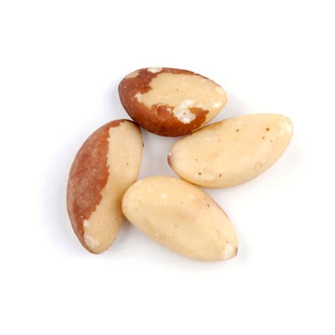 Raw Medium Brazil Nuts