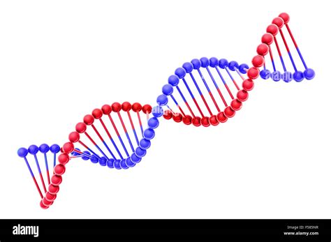 Bio Dna Cut Out Stock Images And Pictures Alamy