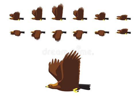 Bird Fly Animation Stock Illustrations 564 Bird Fly Animation Stock