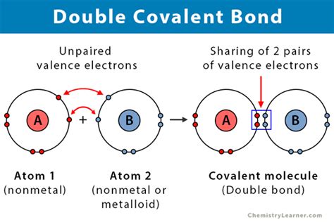 Double Covalent Bond Definition And Examples