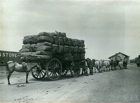 Through The Pages Of Waggas Past The Daily Advertiser Wagga Wagga Nsw