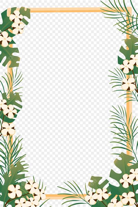 Tropical Flower Border Png Picture Tropical Flowers Border Summer