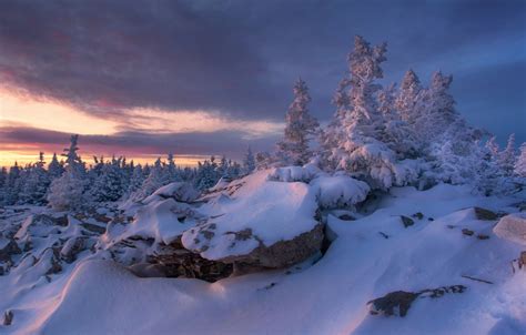 Wallpaper Winter Snow Trees Russia South Ural Chelyabinsk Oblast