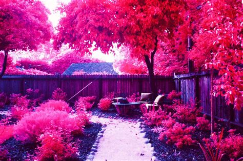 Infrared Photography Using A Tripod With A Canon A 1 And 28mm Lens At F