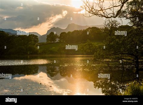 Sunset At Loughrigg Tarn Near Ambleside Lake District National Park